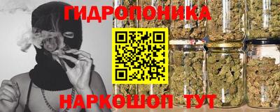 амф Гусь-Хрустальный