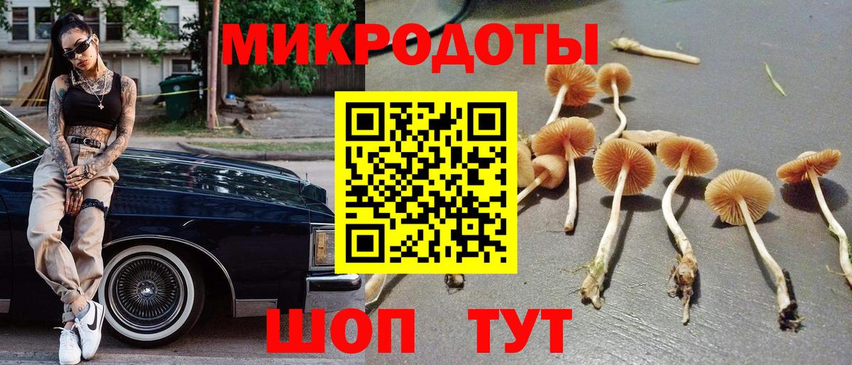 Галлюциногенные грибы ЛСД Нижний Новгород
