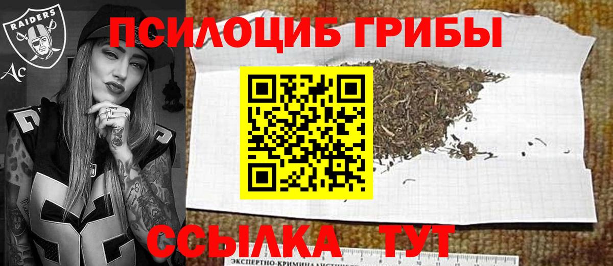 Нижний Новгород  Галлюциногенные грибы Psilocybine cubensis  Галлюциногенные грибы GOLDEN TEACHER  где можно купить   Вход с VPN 