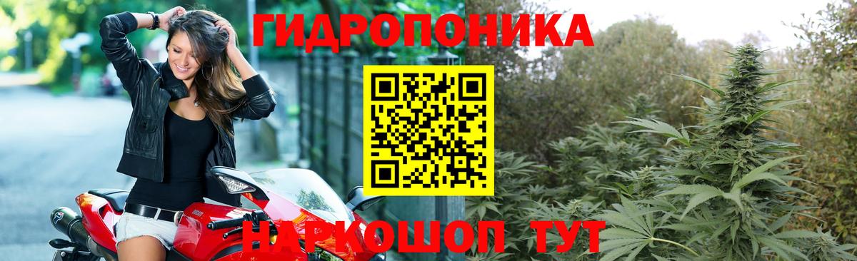 Канабис AK-47 Нижний Новгород